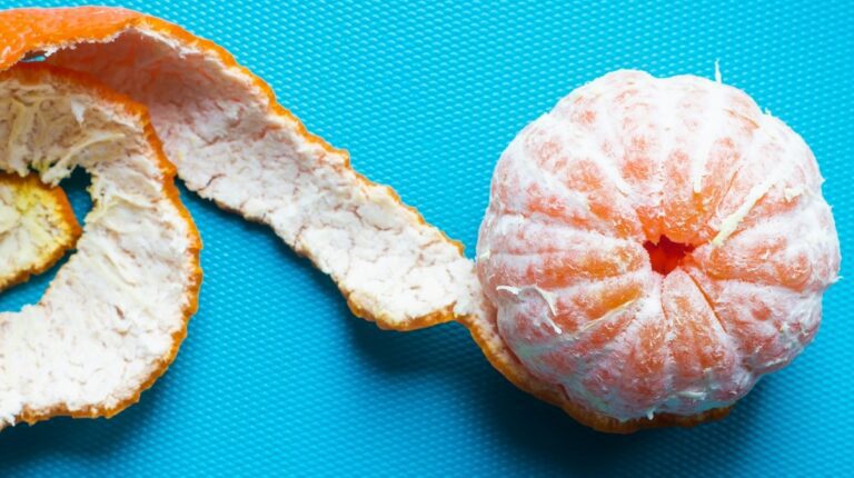 foods for gut health
