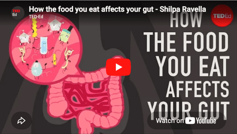 how food affects gut microbiome
