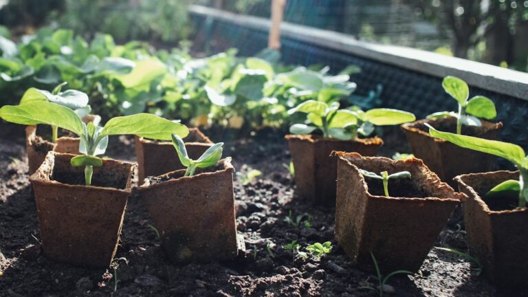 gardening