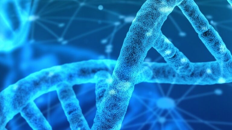 telomeres