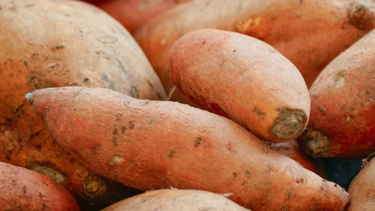 sweet potatoes