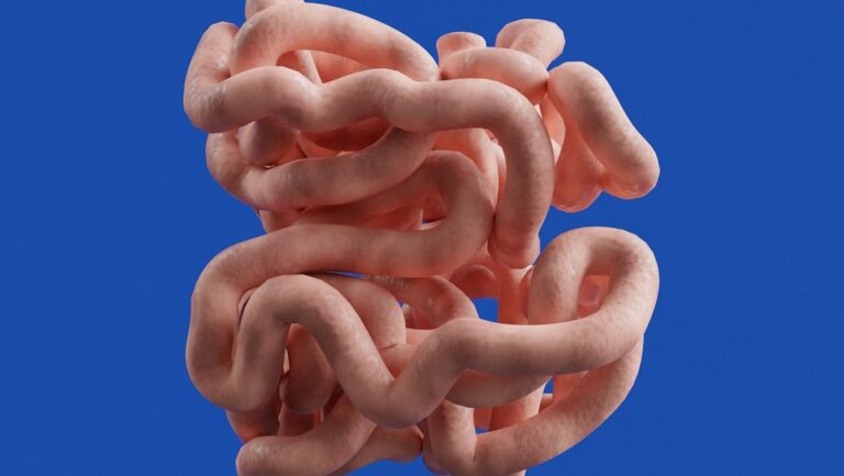 gut microbiome